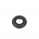 Dichtung fr Thermostat