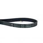 Keilrippenriemen 1254 PJ 5 Bauknecht 481235818157 Alternative